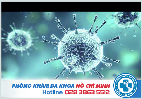 Hình ảnh bệnh xã hội do virus HPV gây ra