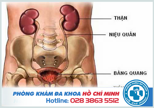 Phòng khám nam khoa ở huyện Hóc Môn uy tín