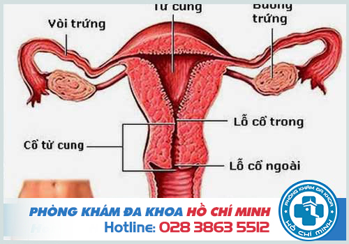 Các bệnh phụ khoa phổ biến ở nữ giới