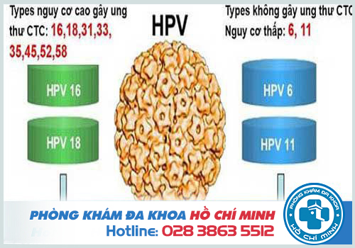Chi phí xét nghiệm HPV