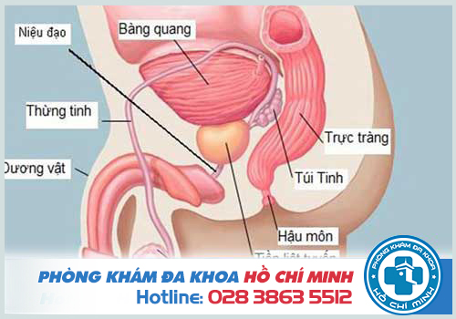 Khám tinh hoàn tại khoa nào của bệnh viện