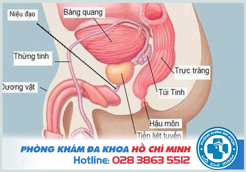 Phòng khám nam khoa quận 10 chất lượng và uy tín nhất