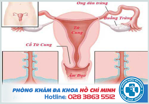 Phòng khám phụ khoa ở quận 11