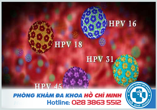 Xét nghiệm dương tính và phân loại HPV