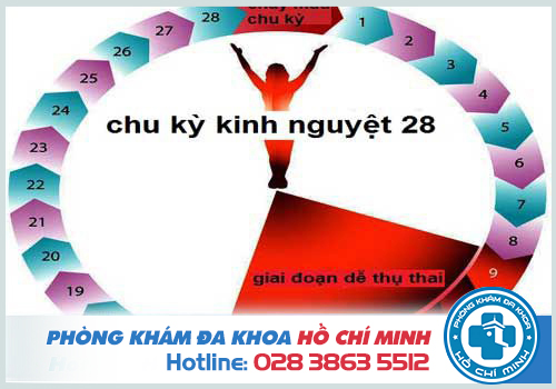 Vêm ống dẫn trứng ảnh hưởng đến chu kỳ kinh nguyệt